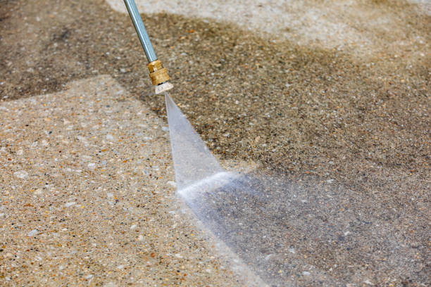 Best Dumpster Area Cleaning  in Fayette, MS