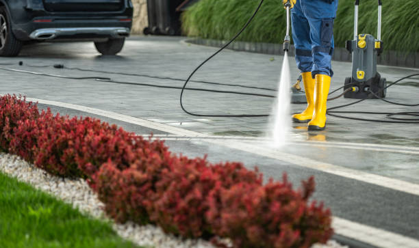Best Patio and Deck Pressure Washing  in Fayette, MS